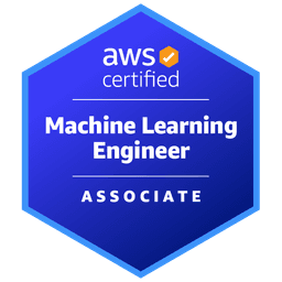 AWS ML Engineer